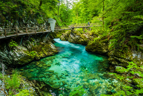 Fototapeta Naklejka Na Ścianę i Meble -  Vintgar Gorge in Slovenia. Europe Beautiful Wild Nature