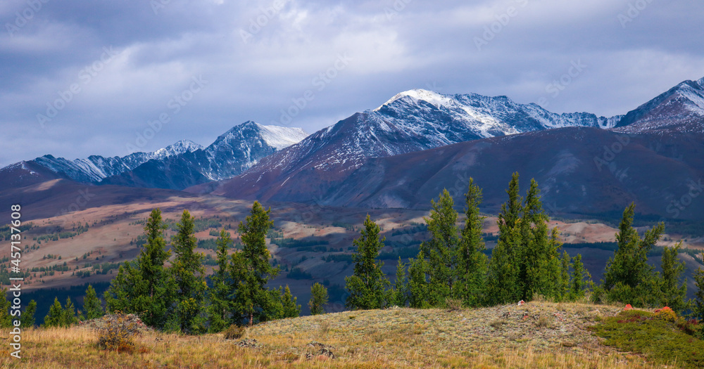autumn in the mountains, snowy mountains, larch trees, mountain landscape