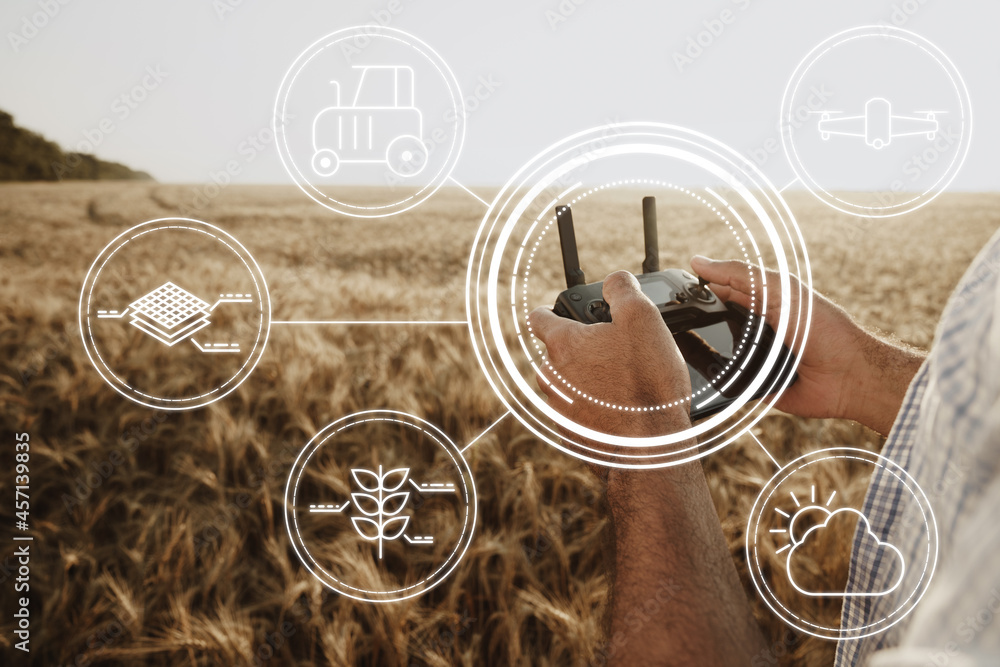 Obraz premium Man farmer standing in wheat field and controlling drone. Technologies in agriculture concept