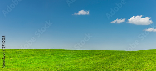 Grüne wiese mit Blauem himmel und weissen Wolken