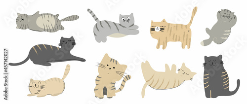 Cute and funny cats doodle vector set. Cartoon cat or kitten characters design collection with flat color in different poses. Set of purebred pet animals isolated on white background.