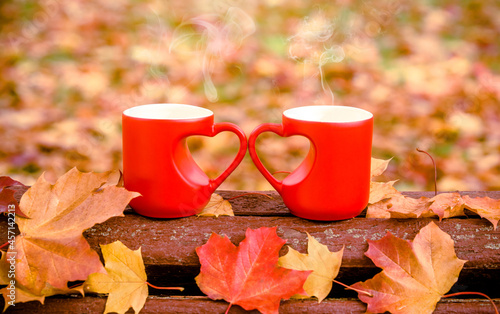 two heart shaped mugs with tea on a Park bench 