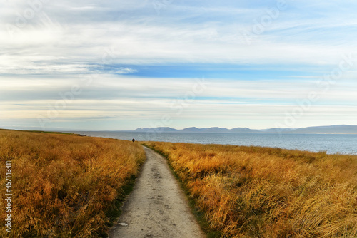 A path through the field overlooking the ocean coast and mountainous islands. Iceland.