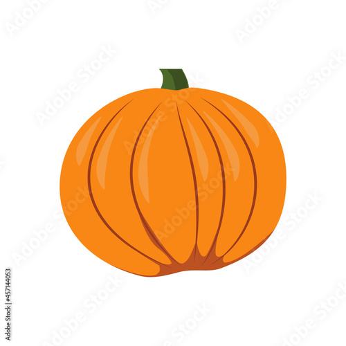 Fresh orange pumpkin on a white background. Autumn harvest. An image for your illustration or a template for Halloween pumpkin. Vector
