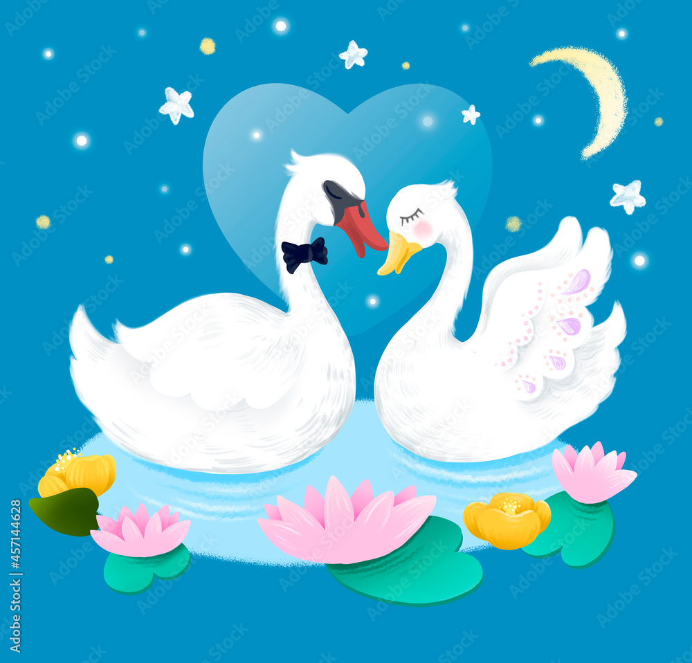 Fototapeta premium A pair of swans