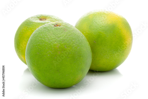 Close-up of Organic Indian Citrus fruit sweet limetta or mosambi (Citrus limetta), it is an green and yellow in color,  isolated over white background, photo