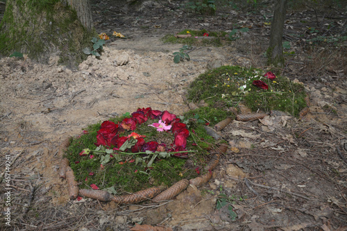 frisches urnengrab im ruhewald rheinhessische schweiz