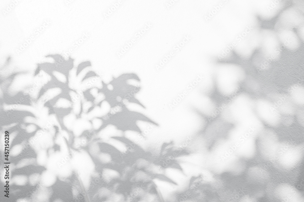 Leaf shadow and light on wall blur background. Nature tropical leaves