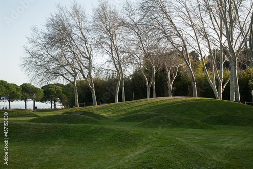 Foto Trees in the park on a hilly lawn