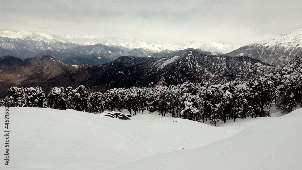 Fototapeta premium Rangat-e-Nature. Himalayas