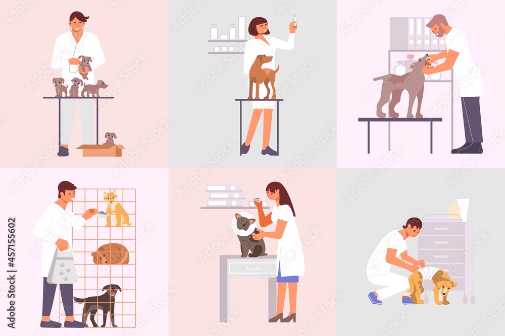 Veterinary Clinic Flat Compositions