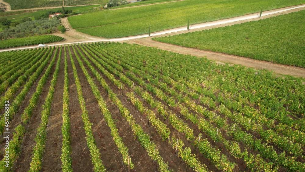 Beautiful aerial shots with drone of the green rows of vineyards in the Chianti Classico area near Pontassieve in the province of Florence.
Tuscan countryside in Italy. Vineyards Agricultural Land. Beautiful aerial shots with drone of the green rows of vineyards in the Chianti Classico area near Pontassieve in the province of Florence.
Tuscan countryside in Italy. Vineyards Agricultural Land.