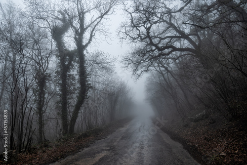 An old dilapidated asphalt road through a bare foggy forest.