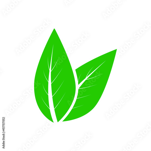 Green leaf vector icon. botany illustration sign . ecology symbol. eco sign.