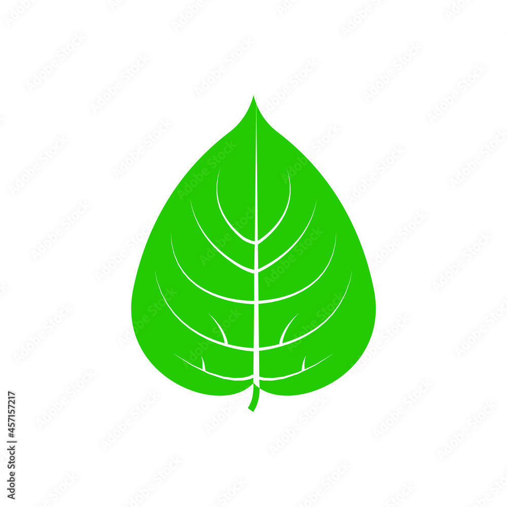Green leaf vector icon. botany illustration sign . ecology symbol. eco sign. Green leaf vector icon. botany illustration sign . ecology symbol. eco sign.