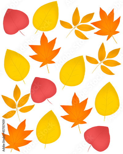 Hello autumn, autumn leaves flat, colored leaves isolated set autumn elements autumn holidays yellow leaves