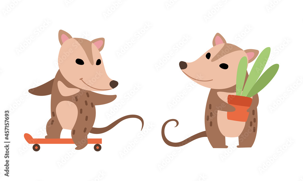 Cute Opossum Animal Holding Plant in Flowerpot and Skateboarding Vector Set Cute Opossum Animal Holding Plant in Flowerpot and Skateboarding Vector Set