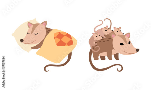 Cute Opossum Animal Sleeping on Pillow Under Blanket and Carrying Baby on Its Back Vector Set
