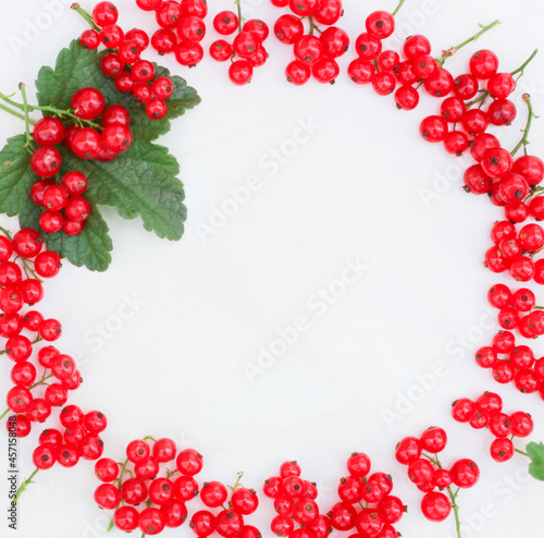 creative frame of red currant berries laid out in a circle on a white background  space for text