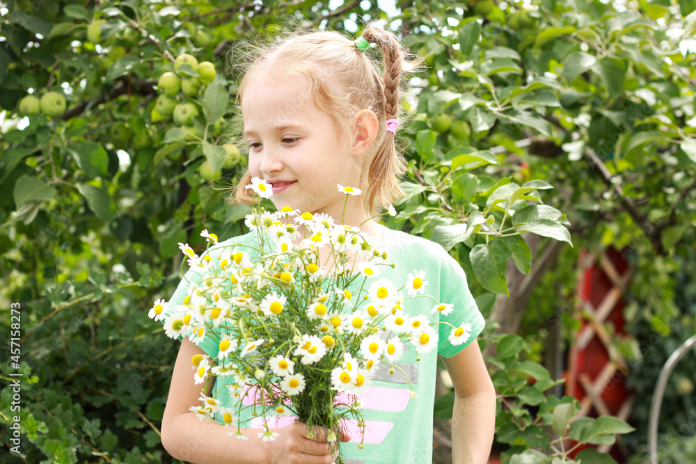 girl with blond hair in pigtails with a bouquet of daisies. Gives a bouquet to mom, grandmother for a holiday girl with blond hair in pigtails with a bouquet of daisies. Gives a bouquet to mom, grandmother for a holiday
