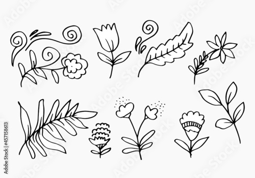 a collection of hand-drawn flower images such as bellflower, chrysanthemums, sunflowers, cotton flowers, and tropical leaves