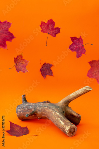 Empty wooden podium and falling red maple leaves on orange background. Autumn holiday sale mockup. Piece of wood for cosmetic product display. Fall composition. Thanksgiving or Halloween background.