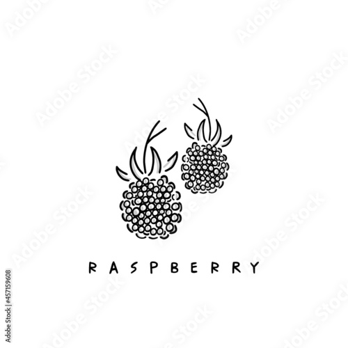 Raspberry vector drawing Isolated sketch on white. Hand-drawn illustration for restaurant, cafe, store and garden for menu, recipe, and sign. 