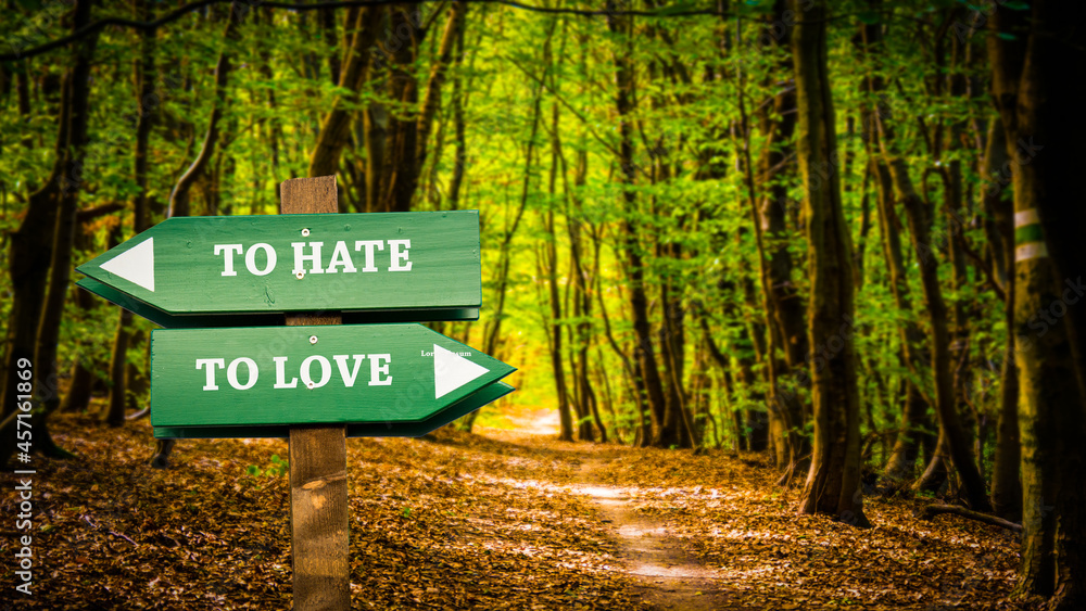 Street Sign TO LOVE versus TO HATE Street Sign TO LOVE versus TO HATE
