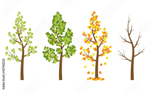 vector set of four seasons of a tree