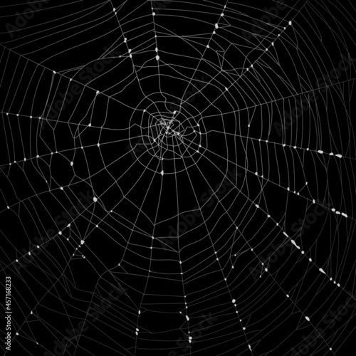 realistic cobweb with gradient green background vector design illustration