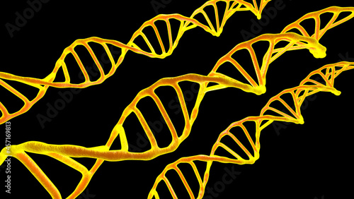 Scene viewed under a microscope the molecules DNA on a the black isolated background. The Concept molecular biology and biotechnology, Deoxyribonucleic acid genomes. 3D rendering illustration.