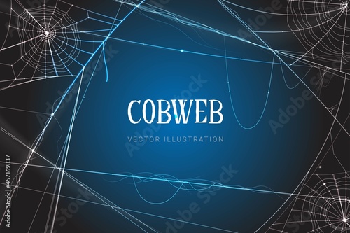halloween detailed cobweb background vector design illustration
