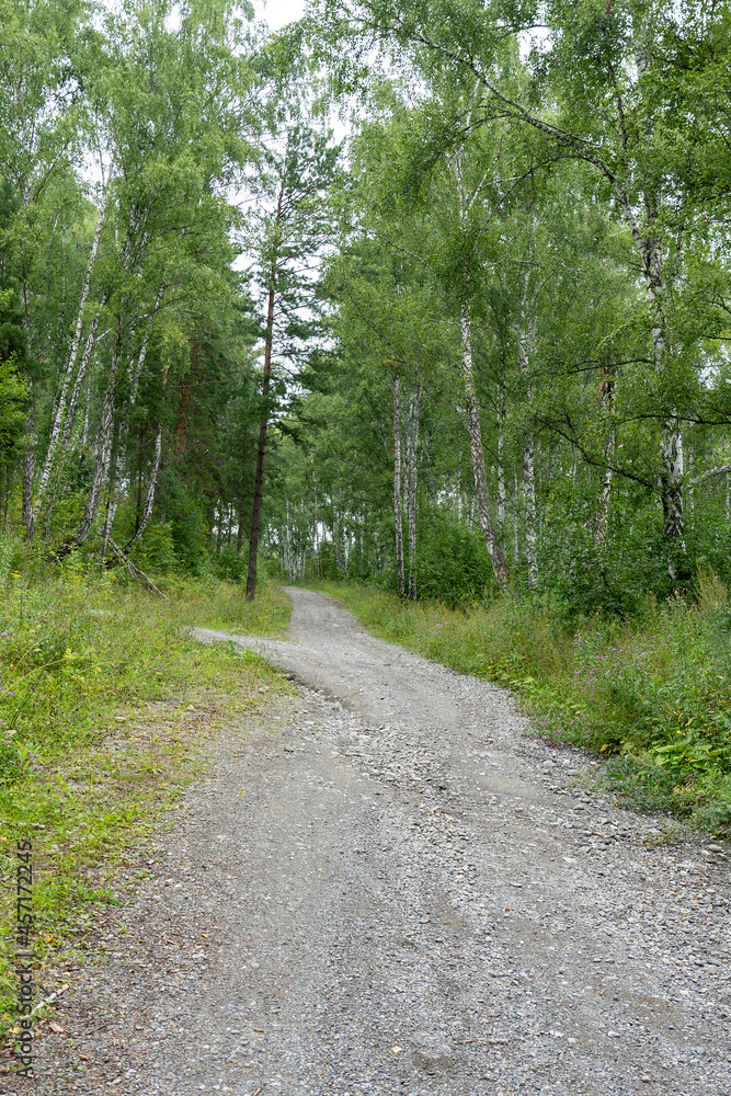a dirt road in the mountains goes up, a dirt road passes along the mountain slope, Green tourism Hiking in nature. Road to the sky, selective focus, tinted image a dirt road in the mountains goes up, a dirt road passes along the mountain slope, Green tourism Hiking in nature. Road to the sky, selective focus, tinted image