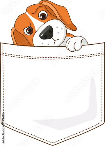 Curious beagle dog in a pocket print sticker