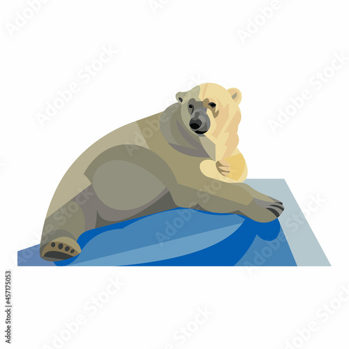 A huge white polar Arctic bear lies on an ice floe