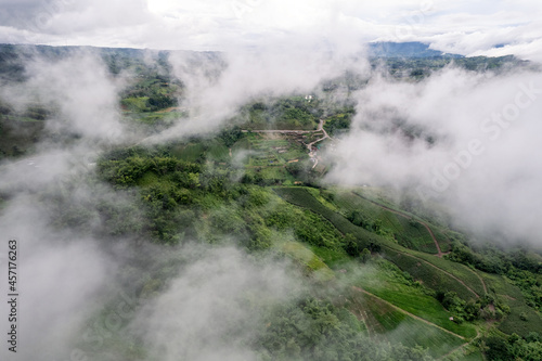 Foggy mountain in tropical rainforest at national park