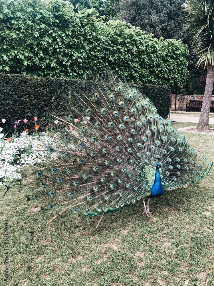 Obraz premium London - England