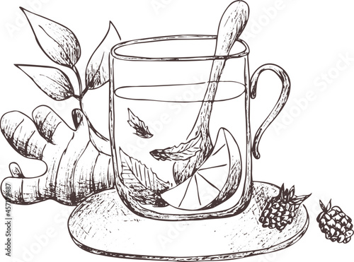 Hand drawn outline abstract vector  image. Mug of herbal tea with mint, lemon and ginger root. Silhouette isolated on transparent background. Eps pharmacy vintage art print