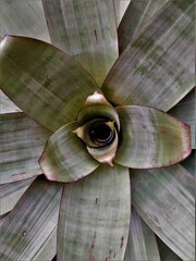Handdoek met foto Texturen Groene plant close-up natuur  © NSacardo