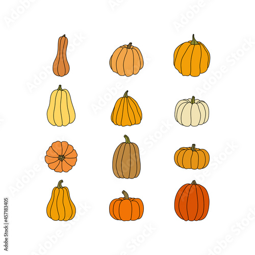 Set of pumpkins. Modern hand-drawn autumn set, vector illustration. Harvest festival, Thanksgiving day, Halloween symbols collection. Autumn decorative elements for your design. Vegetarian food.