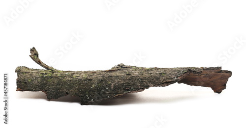 Rotten tree bark isolated on white background