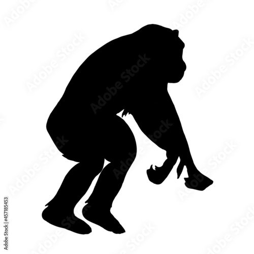 The silhouette of an animal monkey orangutan on a white background.Vector illustration.View in profile.