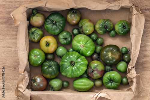 Various green tomatoes are ripening in the carton box indoors
