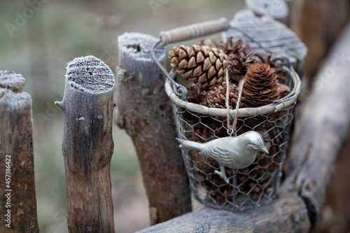 Winter Autumn Impression On Old Fence