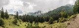 Bergwald und Alm im Nebel mi Büschen, Panorama