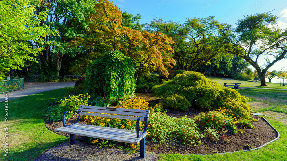 Fototapeta premium Wooden bench by garden at Burnaby Mountain Park, BC, with tree showing early signs of approaching Fall.