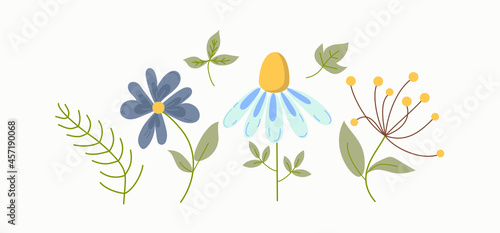 Set of abstract flowers. Drawn plants and leaves. Vector illustration with isolated background.