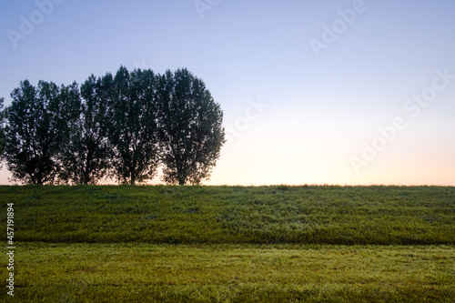 Sunset in the field