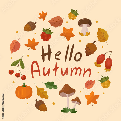 Hello autumn cute clip art elements. Fall stuff like mushrooms, oak, birch, maple, aspen leaves, wild rose, acorn, pumpkin, cranberry and cloudberry. Vector autumn design elements with cozy lettering
