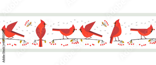 Red cardinal birds cute seamless vector border. Birdwatching, bird feeding minimal design illustration. Red Northern cardinal, comic cartoon frame. Winter birds of backyard, city garden scavenger sign photo